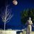 El Pintor Garcia's profile image