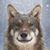 Alan Schratz's profile image