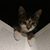 Maggie Franco Dumais's profile image