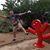 Matt Young's profile image
