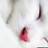 Rebecca's profile image