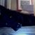 Ann Marie C's profile image