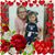 Patty Leibold Schuch's profile image