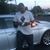 Donnell Stokes's profile image