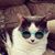 Karen Zumwalt's profile image