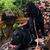Joyceann Merriman-Johnson's profile image