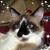 Eileen Haag's profile image