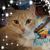 Karen Hewitt's profile image