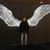 Bobbi McGee's profile image