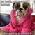 Dorothy Aguilar's profile image