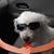 Lillian Dong's profile image