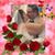 Katherine Crouch's profile image