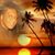 Agatha Contee's profile image