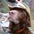 Roger Stapleton's profile image