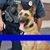 Keith Bohde's profile image