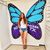Abby Moya's profile image