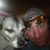Darin Justus's profile image