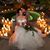 Stacey Tropple's profile image