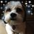Jacqui Tate's profile image