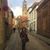 Rene Bever Mercer's profile image
