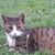 Mary Haworth Carswell's profile image