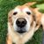 Jill Stratton-Bailey's profile image