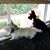 Colleen McAllister's profile image