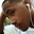 Lil Sizzle's profile image