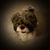 Marilyn Witman's profile image