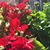 Beba Jimenez's profile image