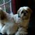 Susan Pyne Acord's profile image