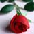 Rose Cisneros's profile image