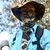Paul Yorke's profile image