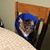 John Wiklund's profile image