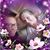 Miranda Healey's profile image