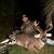Jonathan Thomas's profile image