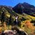 Sarah Henrich's profile image
