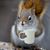 Ruth Larrabee Kevghas's profile image