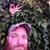 Matt Parod's profile image