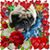 Jacqui Feller's profile image