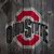 Rob Ronske's profile image