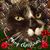 Debbie Shear's profile image