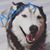 Jamie Vince Tesinsky's profile image