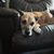 Pamela M Knappmann's profile image