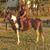 Amanda York's profile image