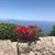 Jane Leveroni Burns's profile image