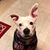 Sherry Spence's profile image