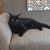 Judith Ann Good Harrison's profile image