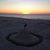 Sharon Lucier's profile image