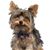 Angel Garcia's profile image